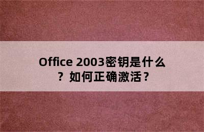 Office 2003密钥是什么？如何正确激活？